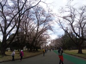 後続組に吸収される人も…